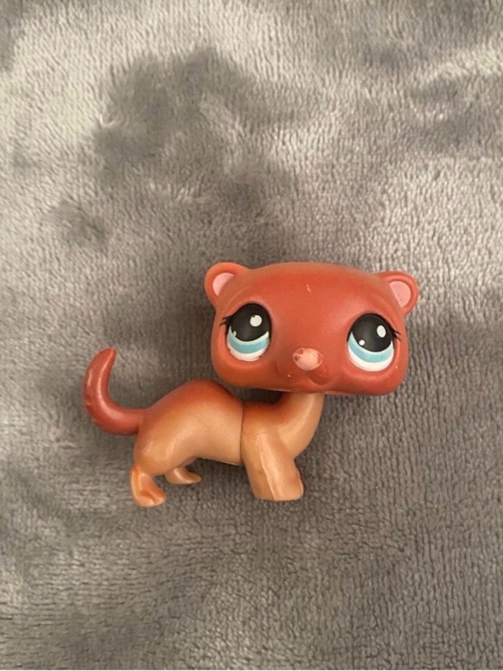 LPS Ferret #334
